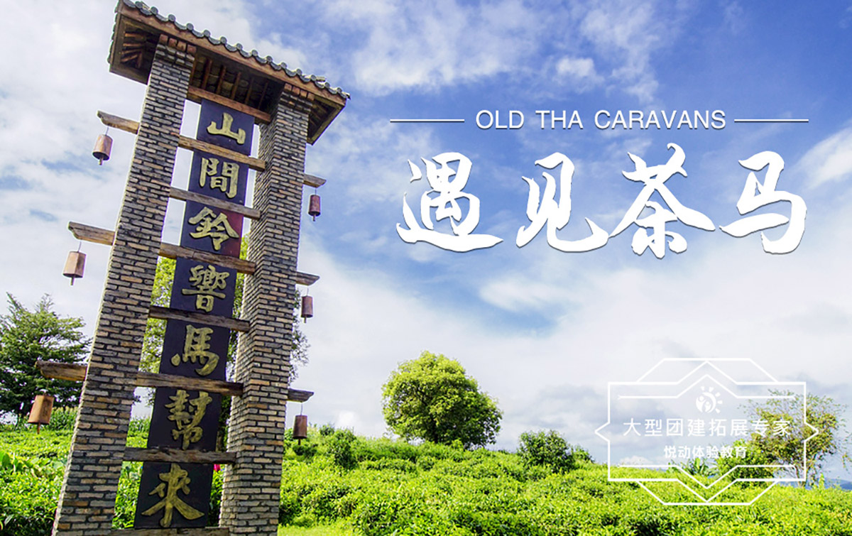 徒步團建-茶馬古道